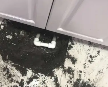 顺平县查漏水哪家好