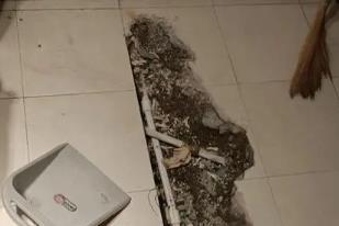 顺平县卫生间漏水检测电话